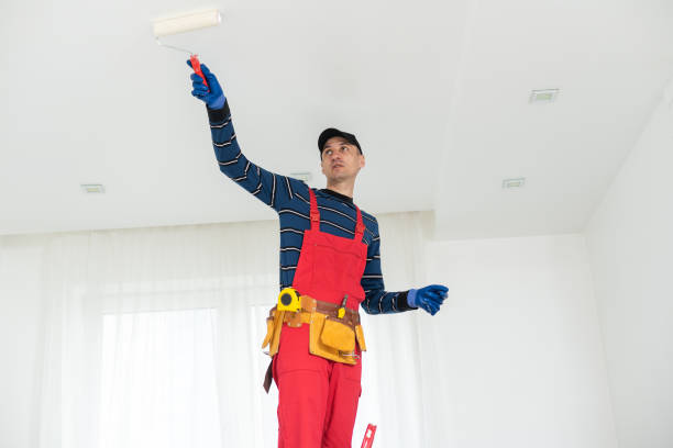 Best Residential Painting  in South Charleston, OH