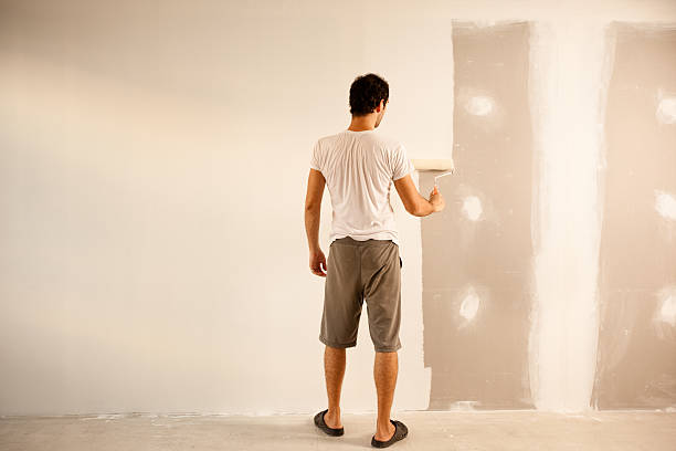 Best Fire-Damaged Drywall Repair  in South Charleston, OH